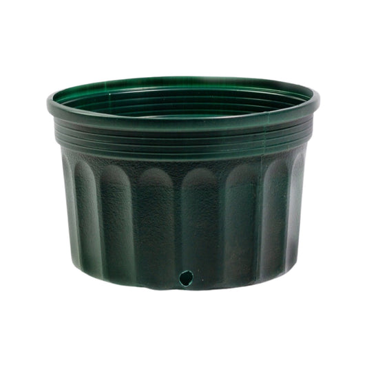 MACETERO #600 CORTO VERDE -