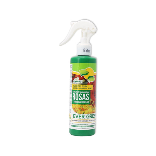 Ever green rosas 250ml Evergreen