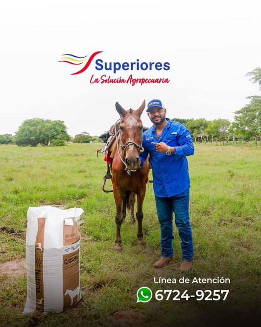 An Equi-premium8 45.36kg (Qq) Nutrina