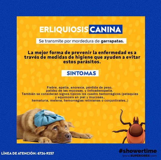 Nexgard Large Tableta De 10.1-25 Kg Grupo Boehringer Ingelheim.