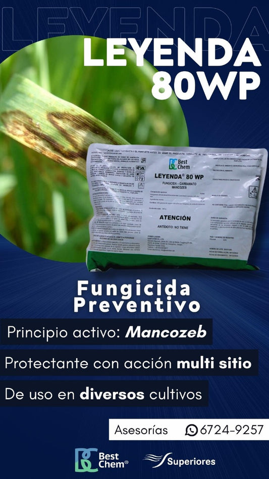 LEYENDA 80 WP 900GRS Best Chem