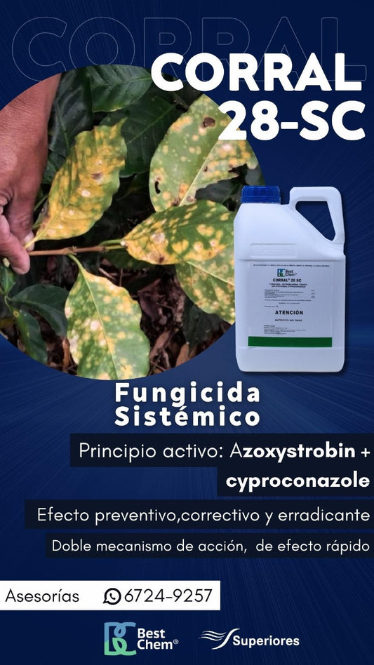 Corral 28 sc Best Chem