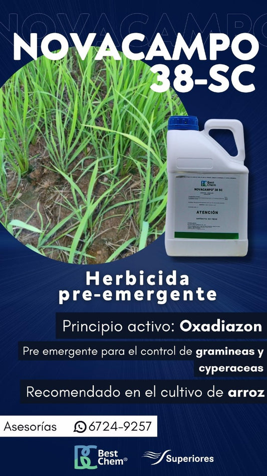 NOVACAMPO 38 SC 5 LTS Best Chem