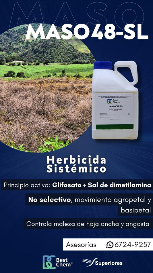MASO 48 SL Best Chem