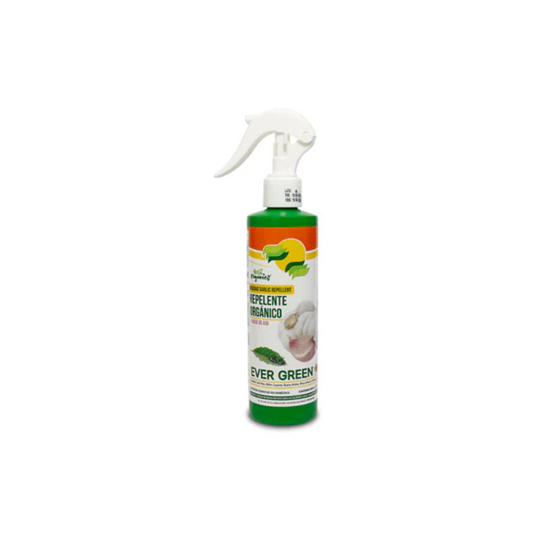 Ever green repelente ajo 250ml Evergreen