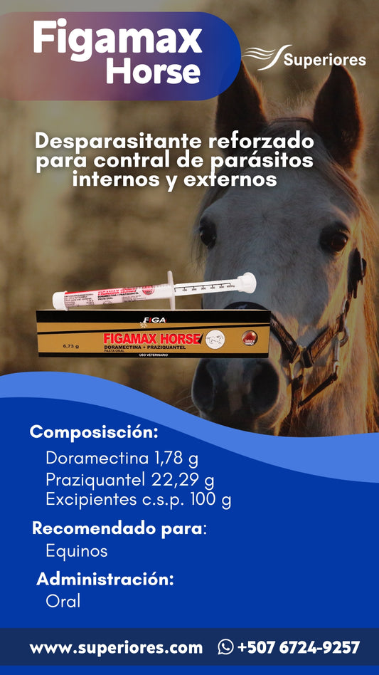 FIGAMAX HORSE JGA Figa