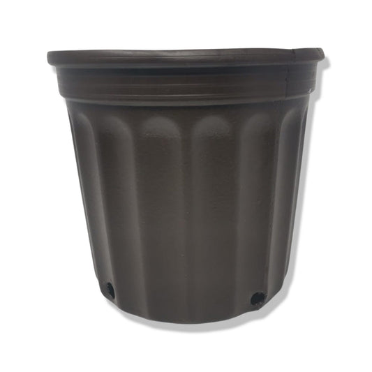 Macetero #400 Café Plásticos 2003