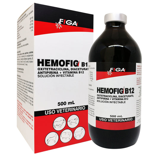 HEMOFIG B12 -