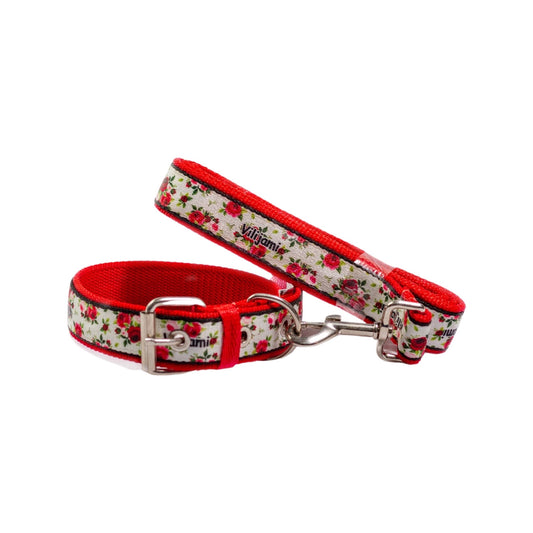 Correa+ Collar Doble #22 -