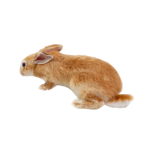 Conejos Fertilizantes Superiores