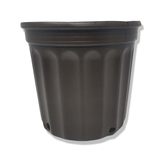 Macetero #400 Café Plásticos 2003