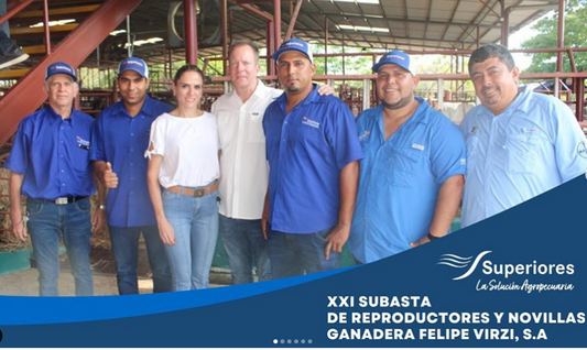 El pasado 26 y 27 de mayo fue la XXI SUBASTA De reproductores y novillas Ganadera Felipe Virzi, S.A Fertilizantes Superiores