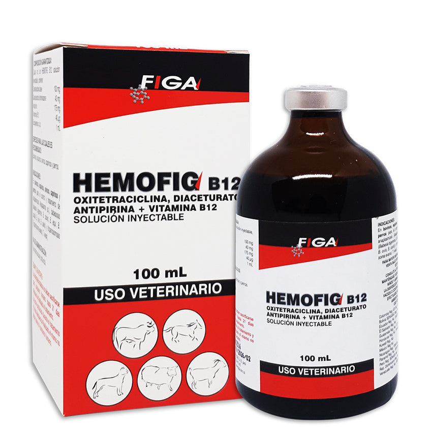 HEMOFIG B12 -