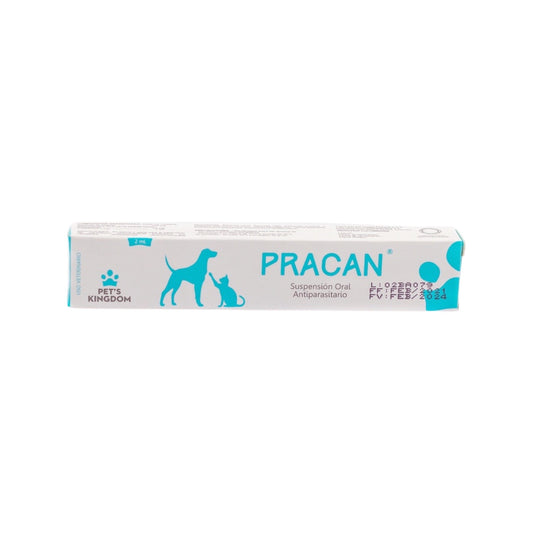 Pracan Jeringa Pets Kingdom