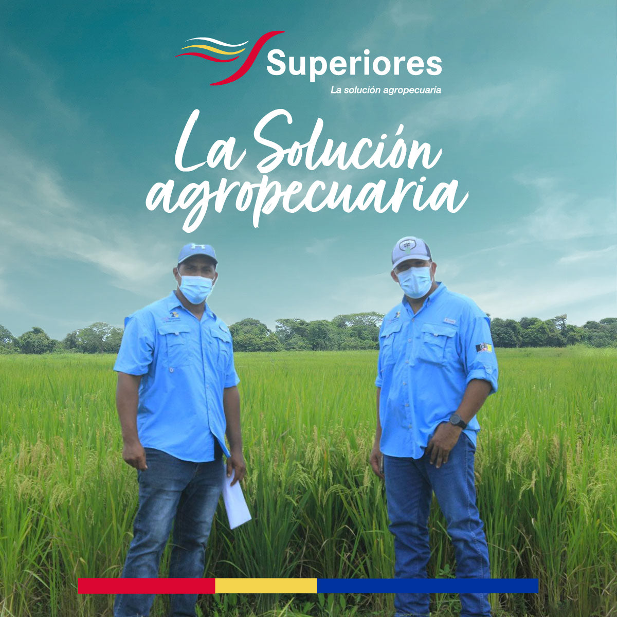 Fertilizantes Superiores