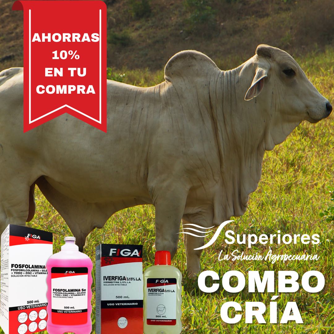 IVERFIGA 3.15 % -