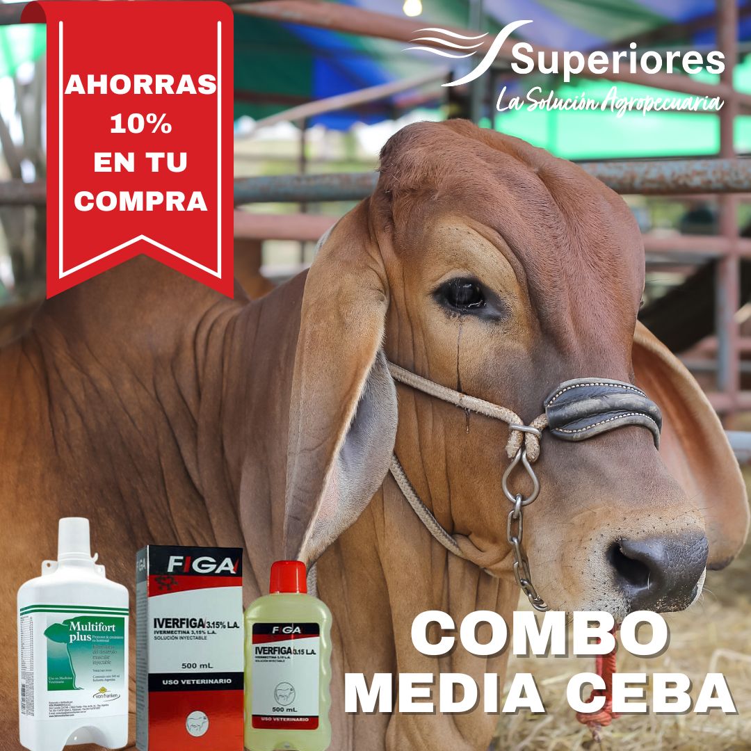 IVERFIGA 3.15 % -