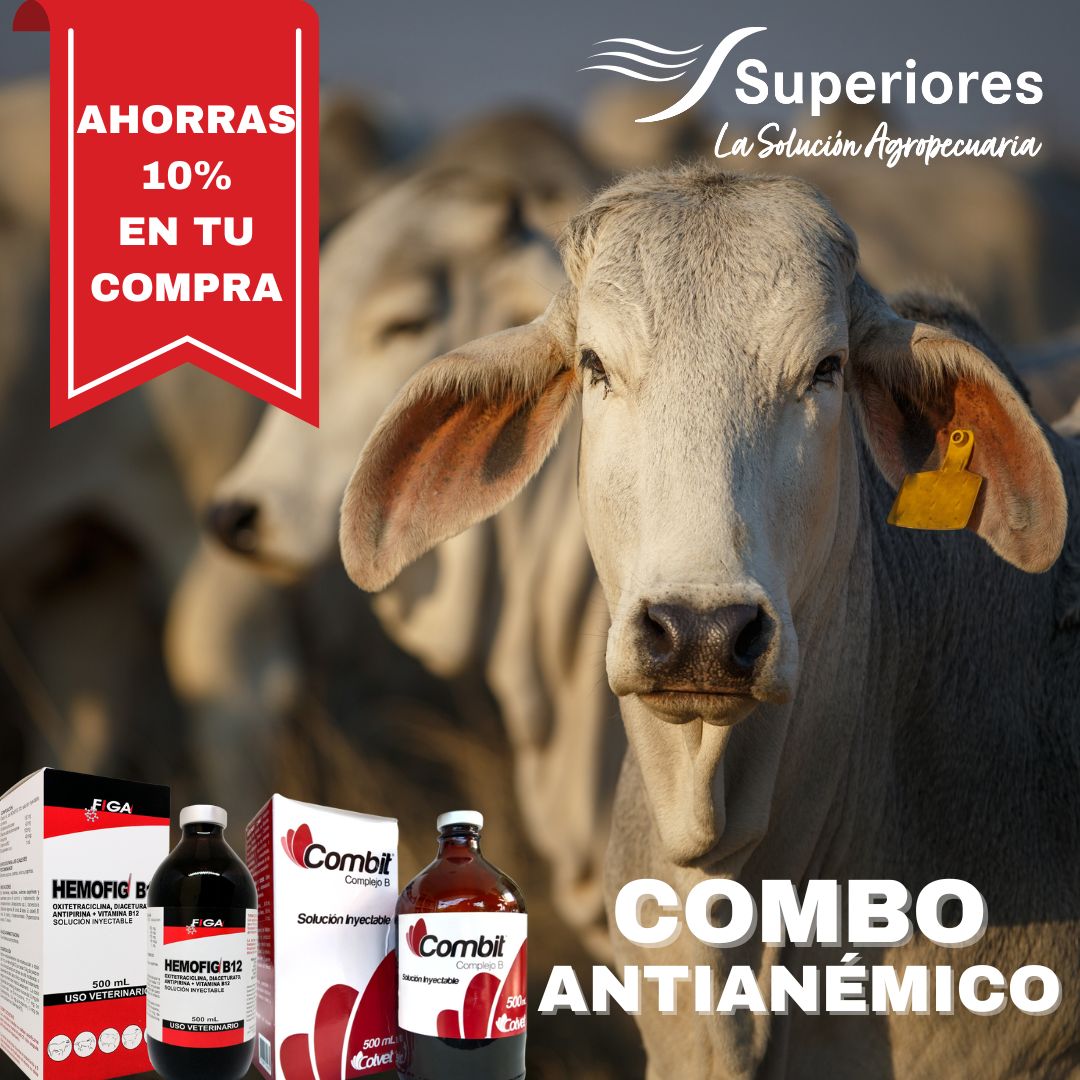 HEMOFIG B12 -