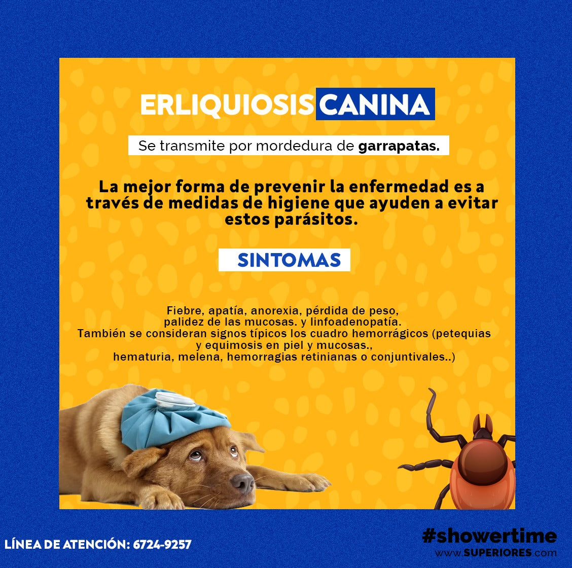 Spotmax 6ml - Perros Grandes Von Franken