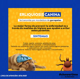 Spotmax 6ml - Perros Grandes Von Franken