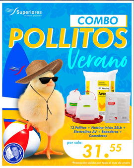 Combo Pollitos