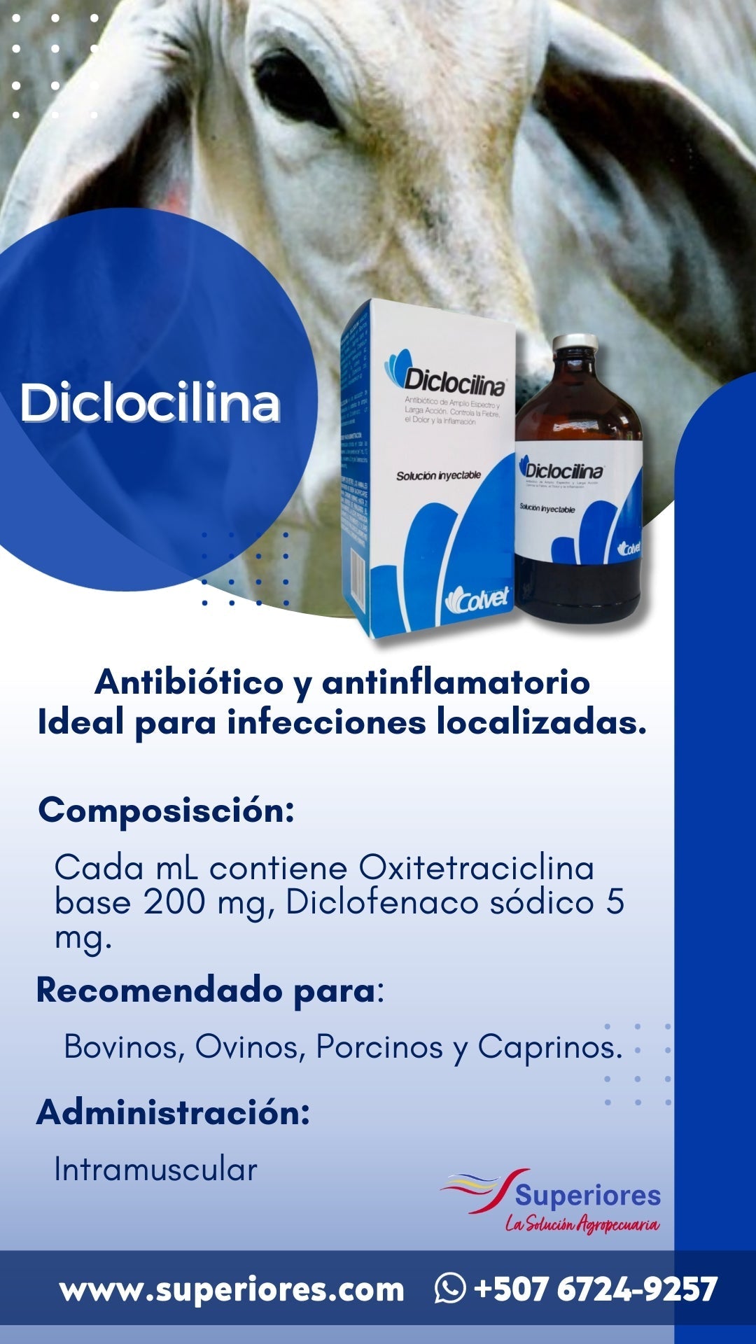 DICLOCILINA Colvet