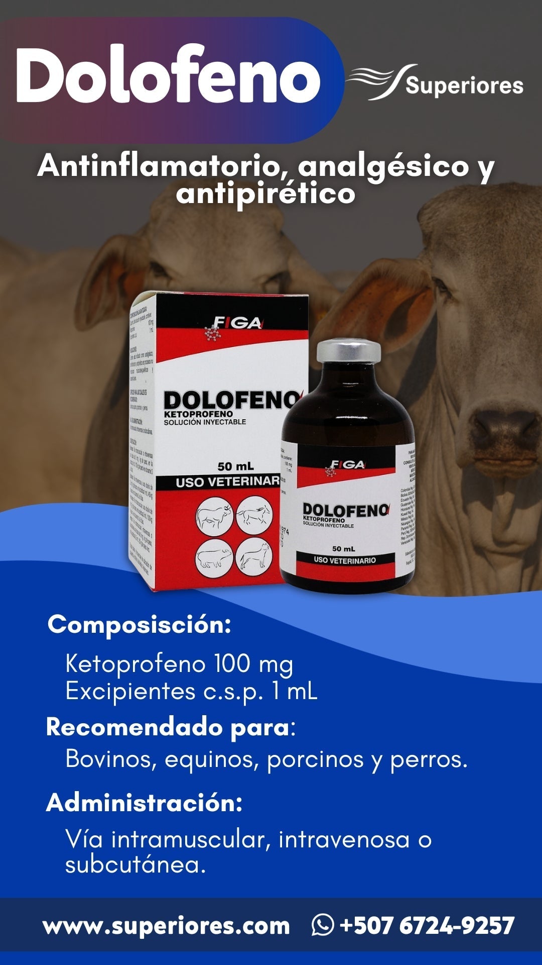 DOLOFENO -