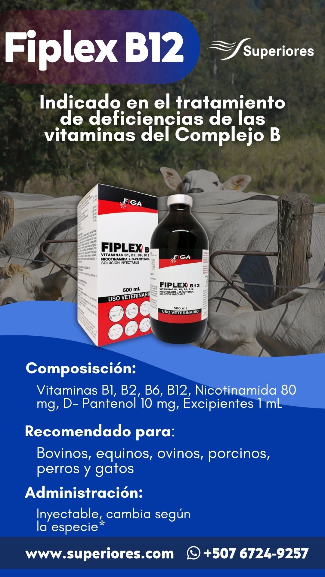 FIPLEX B12 -
