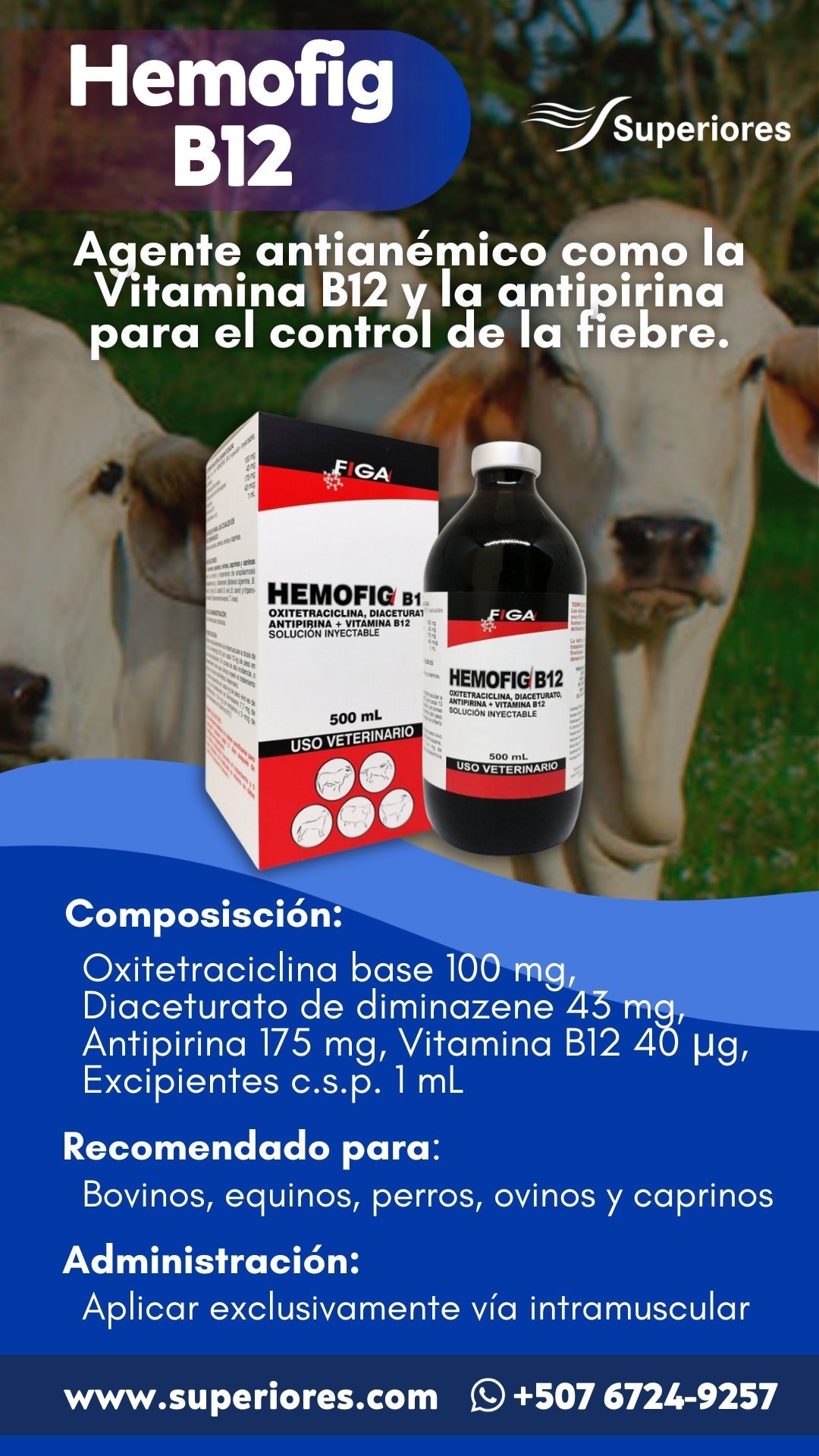 HEMOFIG B12 -