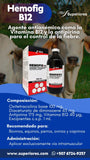 HEMOFIG B12 -