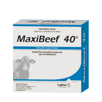 Maxibeef 40 (10DS) Lapisa