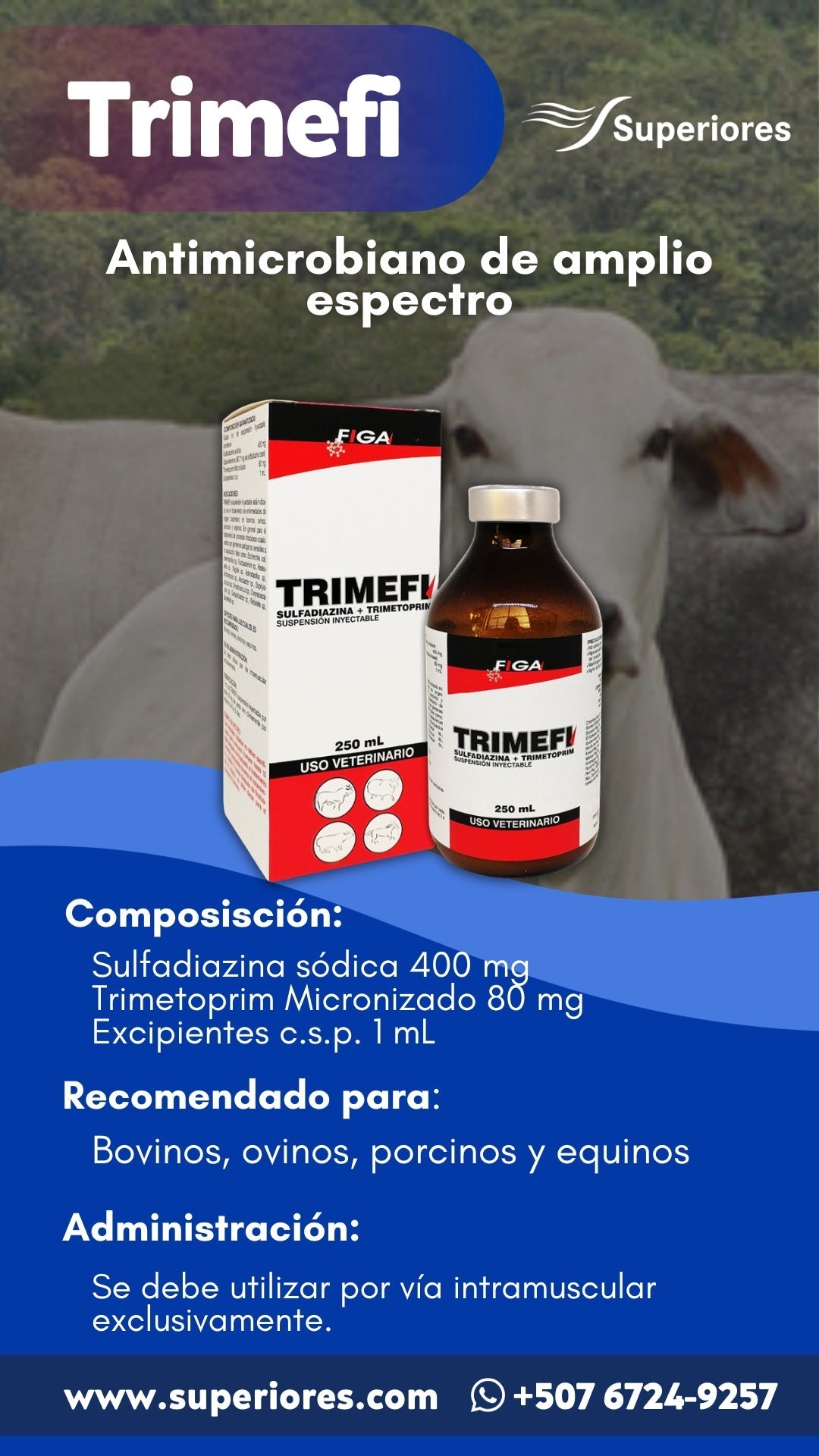 TRIMEFI Figa